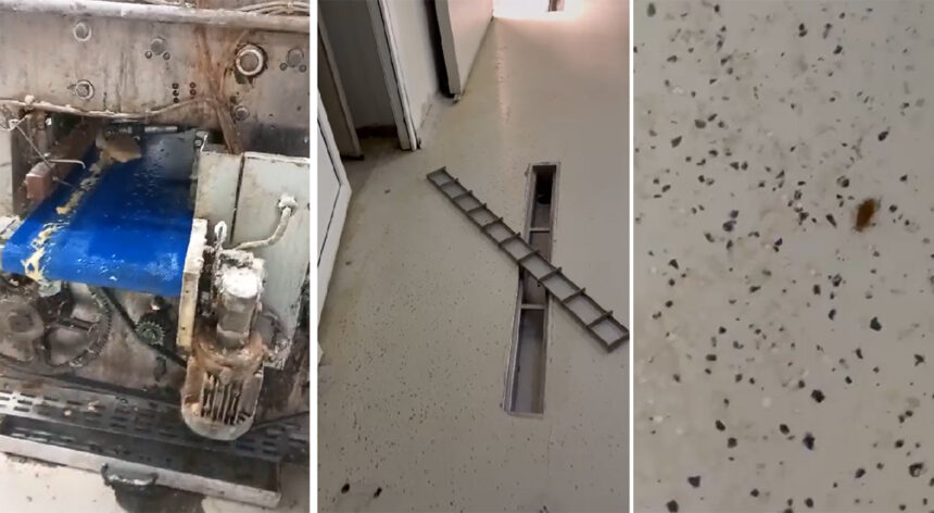 video gnf bakery srl calcata de inspectorii de la protectia consumatorilor acestia au gasit gandaci vii rugina pe utilaje si murdarie 67d45fe817903