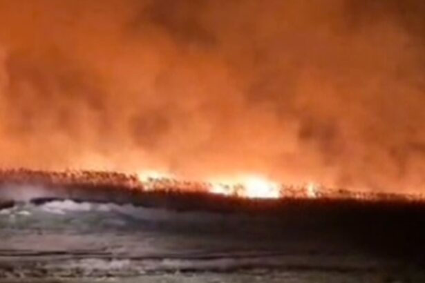 video incendii de amploare in judetul tulcea sunt afectate peste 10 hectare de vegetatie uscata si stuf 67df0b76c9925