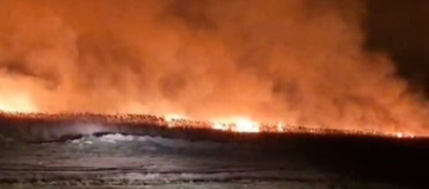 video incendii de amploare in judetul tulcea sunt afectate peste 10 hectare de vegetatie uscata si stuf 67df0b76c9925
