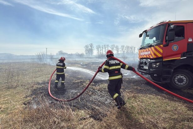 video incendiu de amploare in delta dunarii mai multe obiective economice in pericol 67d9587c84e90
