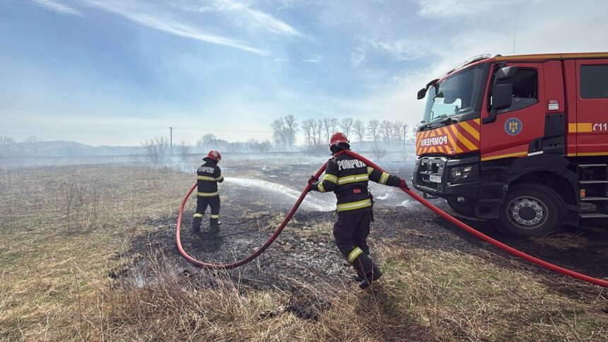 video incendiu de amploare in delta dunarii mai multe obiective economice in pericol 67d9587c84e90