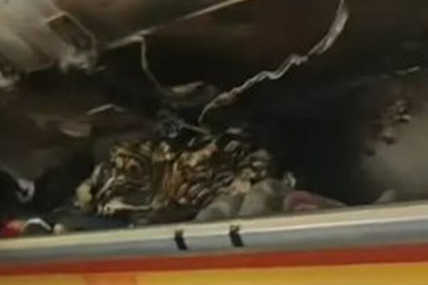 video incendiu in timpul zborului in cabina unui avion al companiei hong kong airlines 67dc8deb83c12