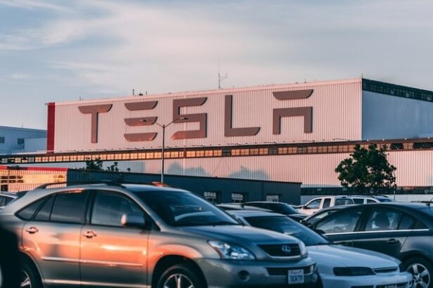 video mii de protestatari in fata showroom urilor tesla din europa sua si australia 67e87e2875551