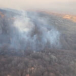 video primele victime in urma incendiilor de vegetatie arafat da vina pe oameni nu le putem pune pe seama temperaturilor sunt intentionate 67cd6b9894837