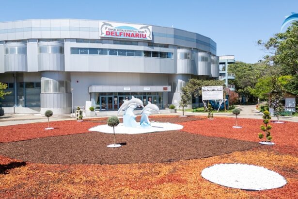 video proiectul extinderii delfinariului din constanta in grafic constructorul ne a garantat ca il va finaliza conform calendarului 67dbf1b841b62