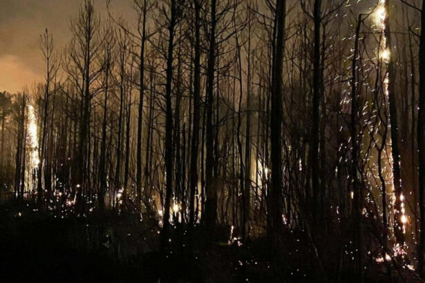 video sua se confrunta cu noi incendii puternice si greu de controlat in carolina de sud a fost declarata stare de urgenta 67c6d49080c90