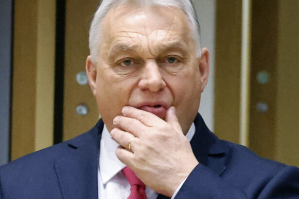 viitorul guvern al germaniei a sosit momentul sa il pedepsim pe orban 67ea4259c8ea7