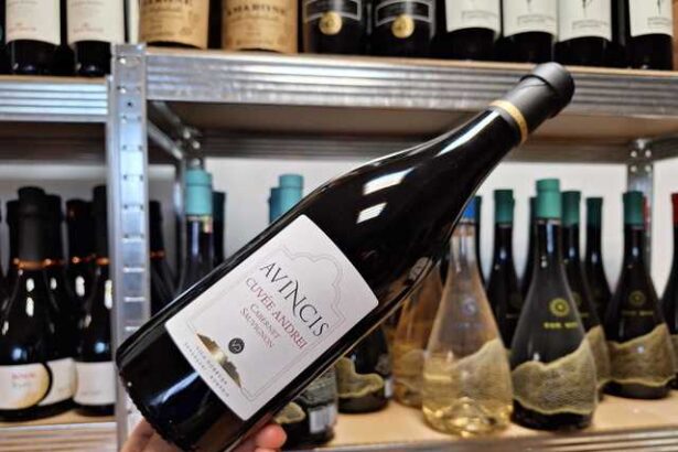 vinul zilei un cabernet sauvignon de la o crama romaneasca de prestigiu un vin cu parfum de pruna coapta mure si alune de padure pe palat dezvaluie note de fructe piper negru vanilie si cimbru 67c94aa491ad1