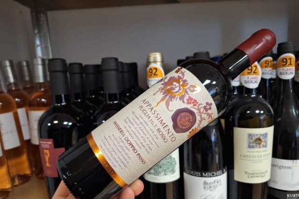 vinul zilei un cupaj rosu din regiunea puglia obtinut din struguri locali un vin cu arome fructate intense companionul perfect pentru preparate din carne de rata vanat carne rosie sau branzeturi 67e3a8a8d31fe