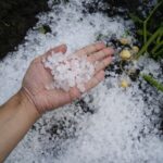 alerta lansata de fermieri puteti vedea mai putine fructe si legume romanesti in magazine atentie la lansarea rachetelor antigrindina 67f4e4ccd08a8
