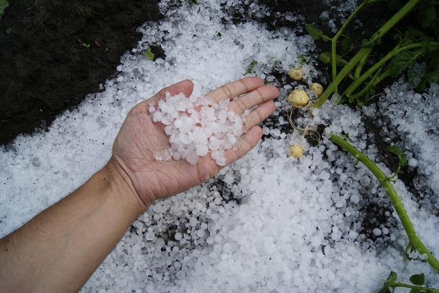 alerta lansata de fermieri puteti vedea mai putine fructe si legume romanesti in magazine atentie la lansarea rachetelor antigrindina 67f4e4ccd08a8