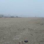 apele romane 77 subsectoare de plaja de pe litoral sunt scoase la inchiriere pentru 10 ani 67efce40d390f