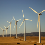 apm constanta raspuns pozitiv pentru firma familei becali unitedpower eolian srl poate infiinta un parc eolian in dobrogea 67f9e4856e6ad