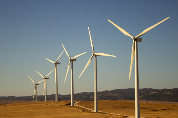apm constanta raspuns pozitiv pentru firma familei becali unitedpower eolian srl poate infiinta un parc eolian in dobrogea 67f9e4856e6ad