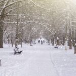 avertizare meteo temperaturile scad abrupt in toata tara ninsori lapovita ploi 67ee77823b8a5