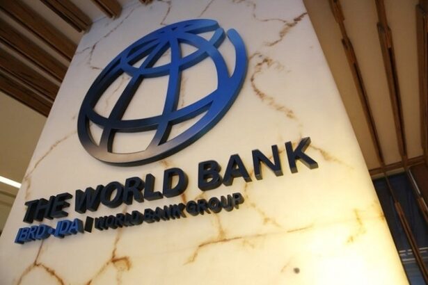 banca mondiala estimeaza un declin semnificativ al preturilor materiilor prime 6811c2eb05bec