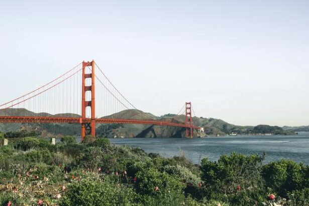 california contesta in instanta tarifele lui trump este nesabuinta 6800b4d90dfa9