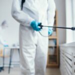 cat costa dezinsectia si deratizarea pentru spatiile directiei generale de asistenta sociala constanta 68078b1be0371