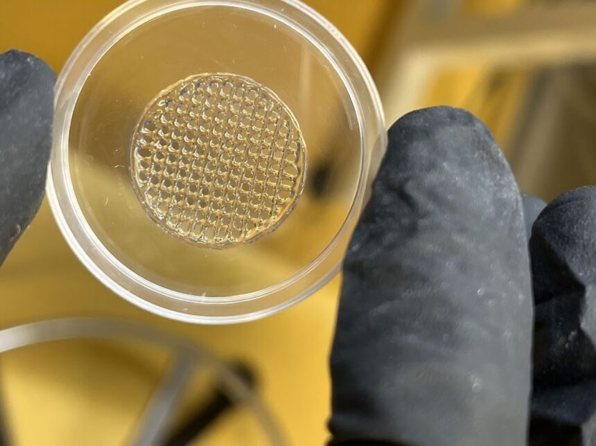 cercetatorii au creat pielea umana imprimata pentru a inlocui testarea pe animale 67f28c04d481f