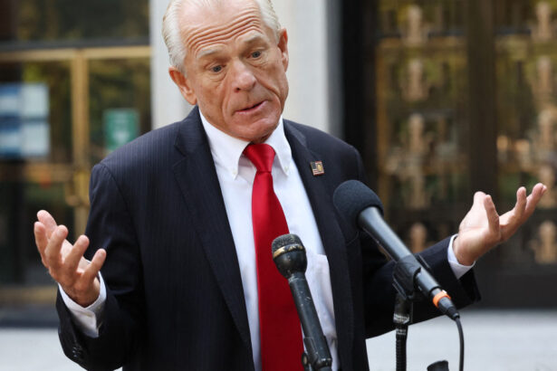 cine e peter navarro creierul din spatele razboiului tarifelor ginerele lui donald trump l ar fi descoperit pe amazon 67f7675fa165f