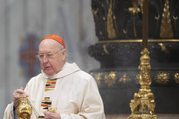 cine este cardinalul kevin farrell devenit sef interimar al vaticanului dupa moartea papei francisc 68073c53cb156