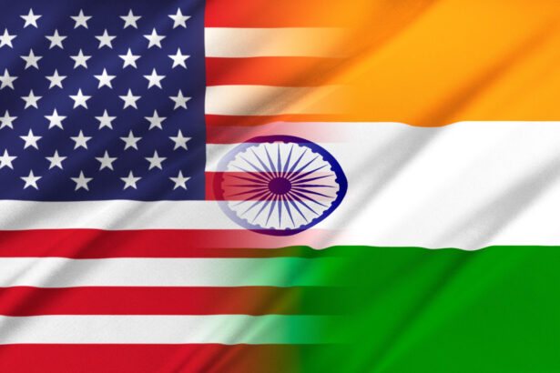 confruntate cu refuzul ue si al chinei de a ceda in fata lui trump sua se indreapta catre india un sentiment de posibilitati infinite 68079ea023dc8