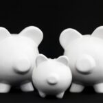 conpet distribuie 3 dividende cat ajunge la stat si cati bani iau fondatorii dedeman 6810f36557ac7