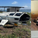 cum a provocat un pinguin prabusirea unui elicopter in africa de sud 67f8212ea9f2a