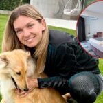 cum arata hotelul de lux al simonei halep din mamaia si cat costa o noapte de cazare in plin sezon 67ebc4a105e13