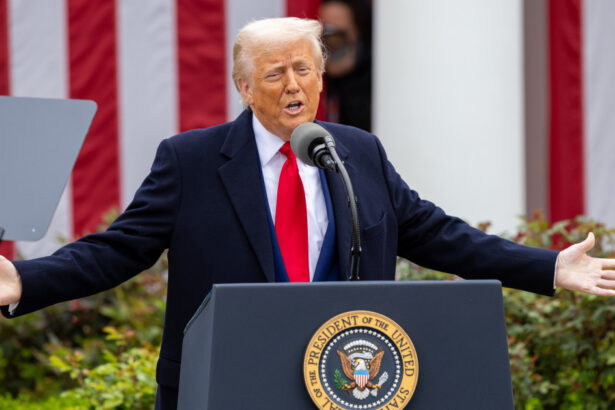 de ce nu apare rusia pe lista tarilor vizate de tarifele lui donald trump explicatii de la casa alba 67ee4154b17a1