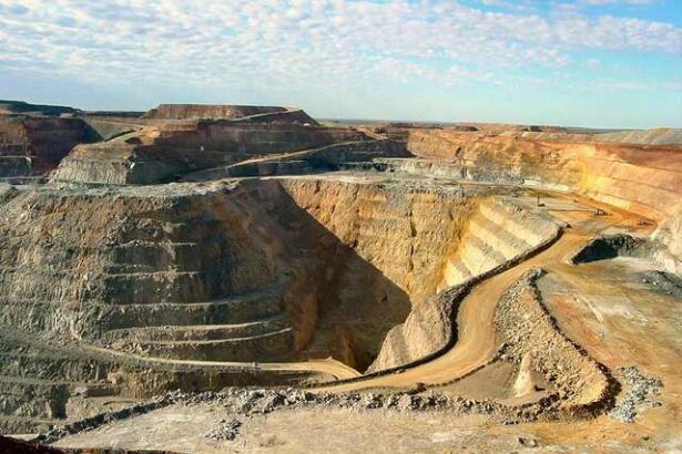 decizii prelungiri de concesiuni de zacaminte de uraniu aur si polimetalice nuclearelectrica vrea uzina noua redeschideri de mine istorice din maramures 67ff85de04bd3