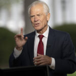 declaratiile surprinzatoare ale lui peter navarro despre insultele lui elon musk care a spus ca e mai prost decat un sac de caramizi 67fbf96bbc18a