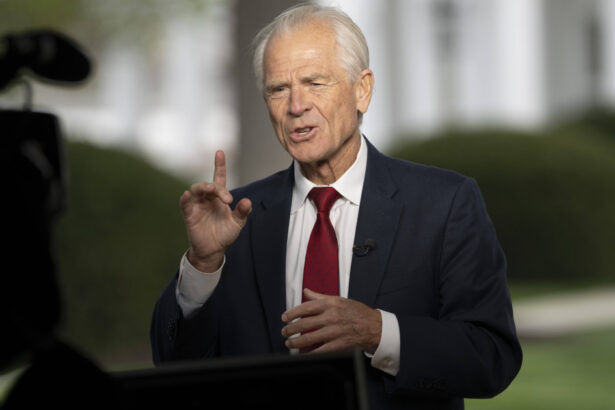 declaratiile surprinzatoare ale lui peter navarro despre insultele lui elon musk care a spus ca e mai prost decat un sac de caramizi 67fbf96bbc18a