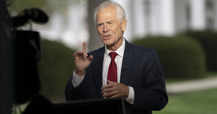 declaratiile surprinzatoare ale lui peter navarro despre insultele lui elon musk care a spus ca e mai prost decat un sac de caramizi 67fbf96bbc18a