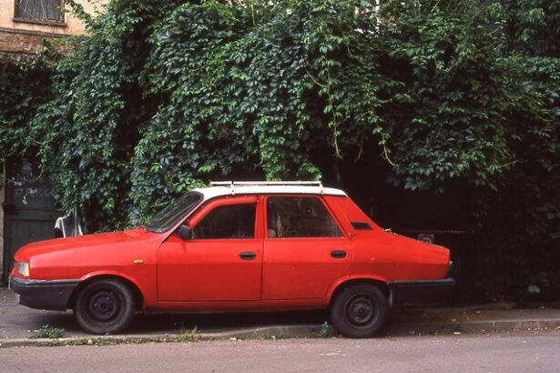 document dacia visata inainte de 90 dupa 30 ani de asteptare vine compensatia de la stat pentru economiile la cec banii nu ajung insa pentru o masina noua 680c79266bd4a