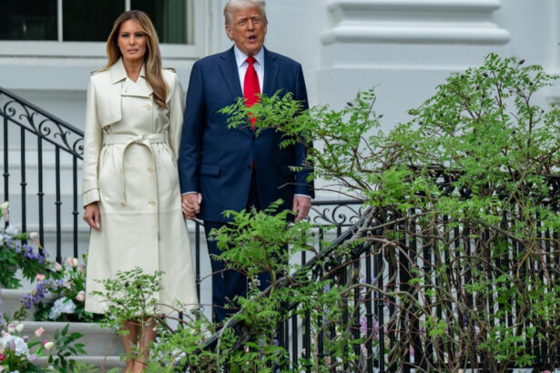 donald trump si sotia sa vor lua parte la funeraliile papei francisc 6807201349bb1
