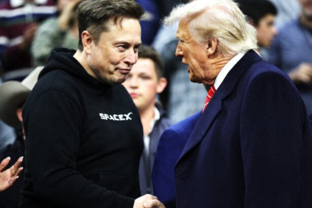 donald trump spune ca musk nu va ramane in guvern elon va trebui sa plece 67ef815f7e6e2