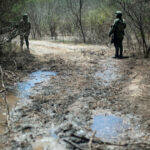 donald trump vrea sa atace cu drone cartelurile drogurilor din mexic reactia presedintei claudia sheinbaum 67f55f7faa9a8