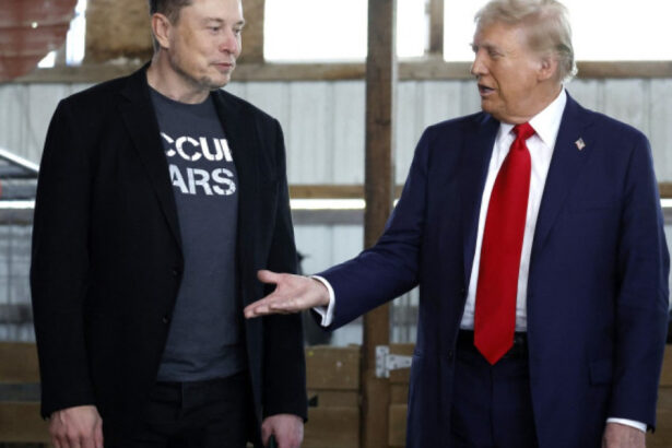 efect de buldozer un fost angajat federal demasca masurile extreme ale lui elon musk pentru reducerea cheltuielilor guvernamentale 67f402573e338