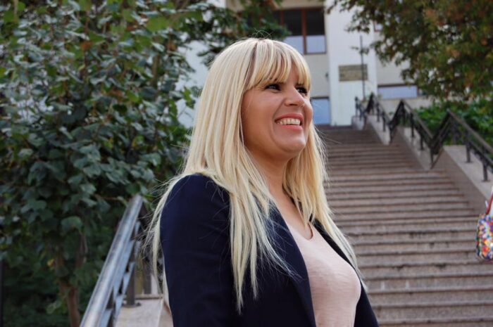 elena udrea a solicitat reducerea pedepsei in dosarul gala bute ar putea fi eliberata la sfarsitul acestei luni 67f55c8859421