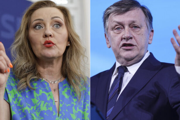 exclusiv ce spun elena lasconi si crin antonescu despre tarifele anuntate de sua trebuie sa protejam companiile romanesti 67ee5a8183da5