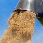 exporturile de produse agroalimentare ale ue au atins un nivel record 67f512775f711
