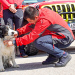 foto 12 ani in slujba vietii helios primul caine salvator montan din romania a iesit la pensie 680bdaf54b16e