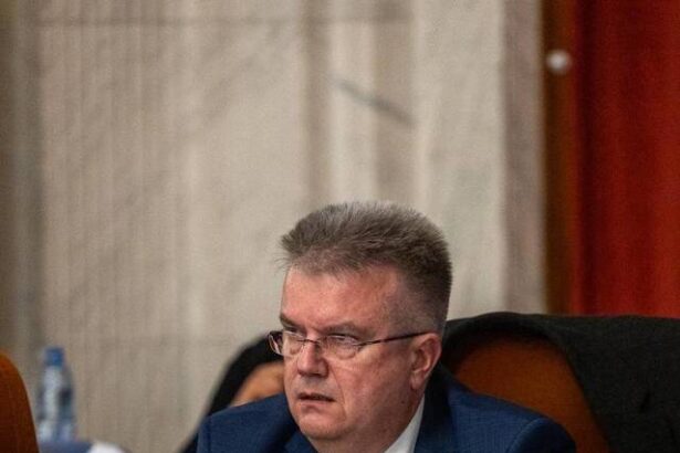 foto directorul autoritatii vamale romane anunta montarea de scanere la isaccea si moravita pana la finalul anului vor mai fi amplasate sase asemenea dispozitive si in alte vami 67f9384deaeba