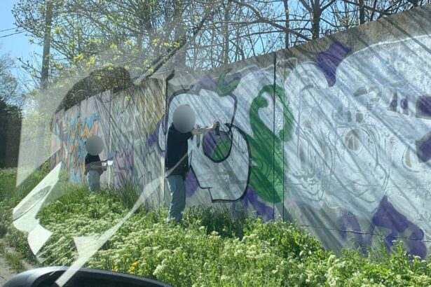 foto doi tineri care desenau pe un gard amendati de politia locala constanta iata valoarea sanctiunii 680f50e87e9d6