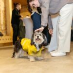 foto liderul ucrainei la hrana de animale ia in calcul o fabrica in romania 67ecfbda97897