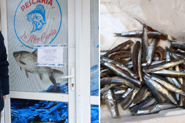 foto mazga rugina si gandaci de bucatarie la comerciantii de peste anpc a dat amenzi de 13 milioane de lei 67f9661660608