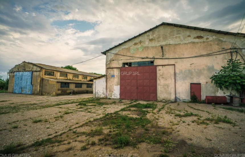 foto o ferma agricola aflata in apropiere de penitenciarul poarta alba o livada si o gradina scoase la vanzare pentru cateva sute de mii de euro 680c5999e4230