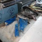 foto piedone a intrat in control printre vanzatorii de peste 67f9510566bbc