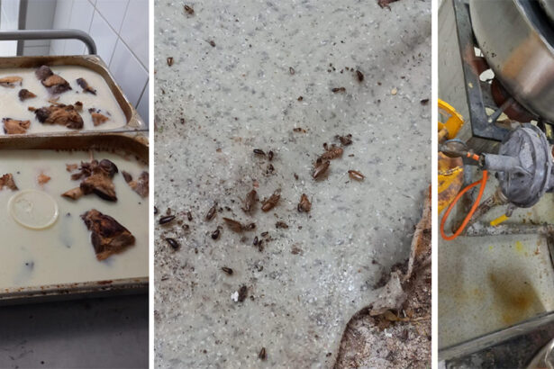 foto rugina mucegai si gandaci la restaurantul sofra din constanta a fost oprita activitatea 67f691f158cc6